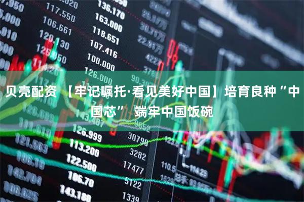 贝壳配资 【牢记嘱托·看见美好中国】培育良种“中国芯”  端牢中国饭碗