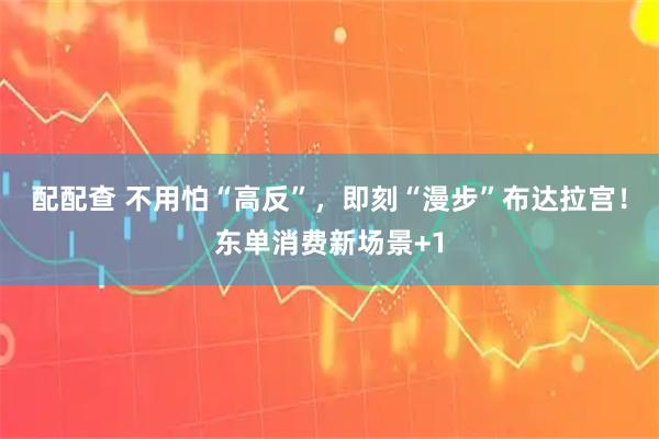 配配查 不用怕“高反”，即刻“漫步”布达拉宫！东单消费新场景+1