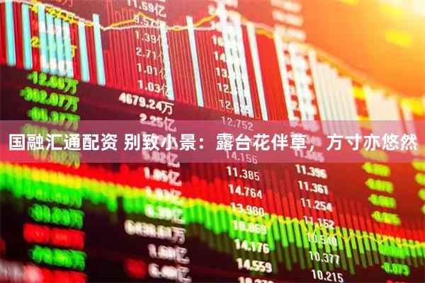 国融汇通配资 别致小景：露台花伴草，方寸亦悠然