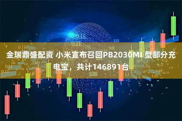 金瑞鼎盛配资 小米宣布召回PB2030MI 型部分充电宝，共计146891台